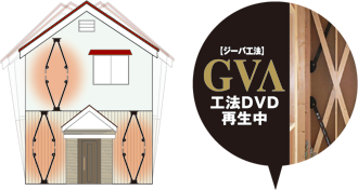 GVA DVD